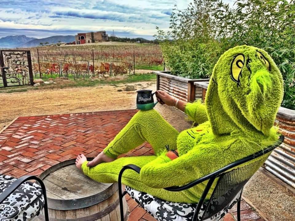 Finca Vidandrei CASA MAZAHUA Valle de Guadalupe Esterno foto