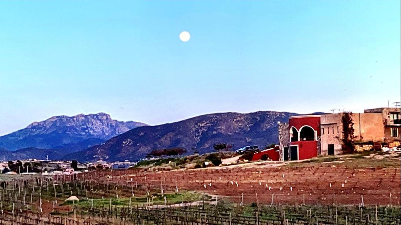 Finca Vidandrei CASA MAZAHUA Valle de Guadalupe Esterno foto