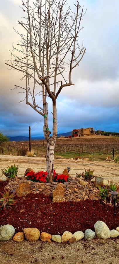 Finca Vidandrei CASA MAZAHUA Valle de Guadalupe Esterno foto