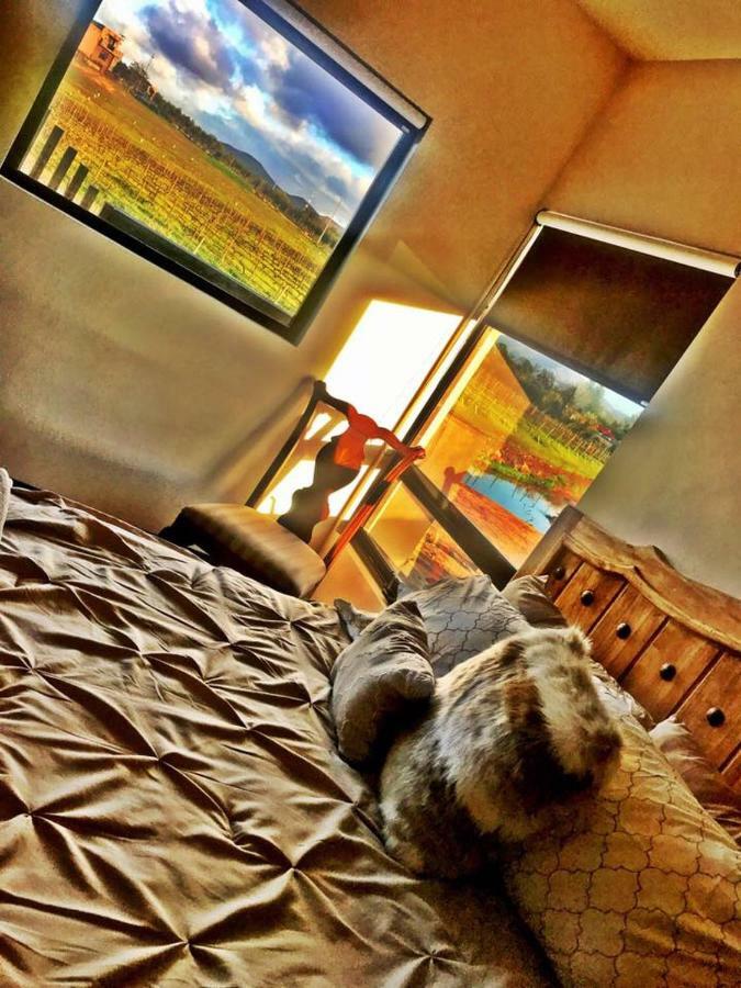 Finca Vidandrei CASA MAZAHUA Valle de Guadalupe Esterno foto